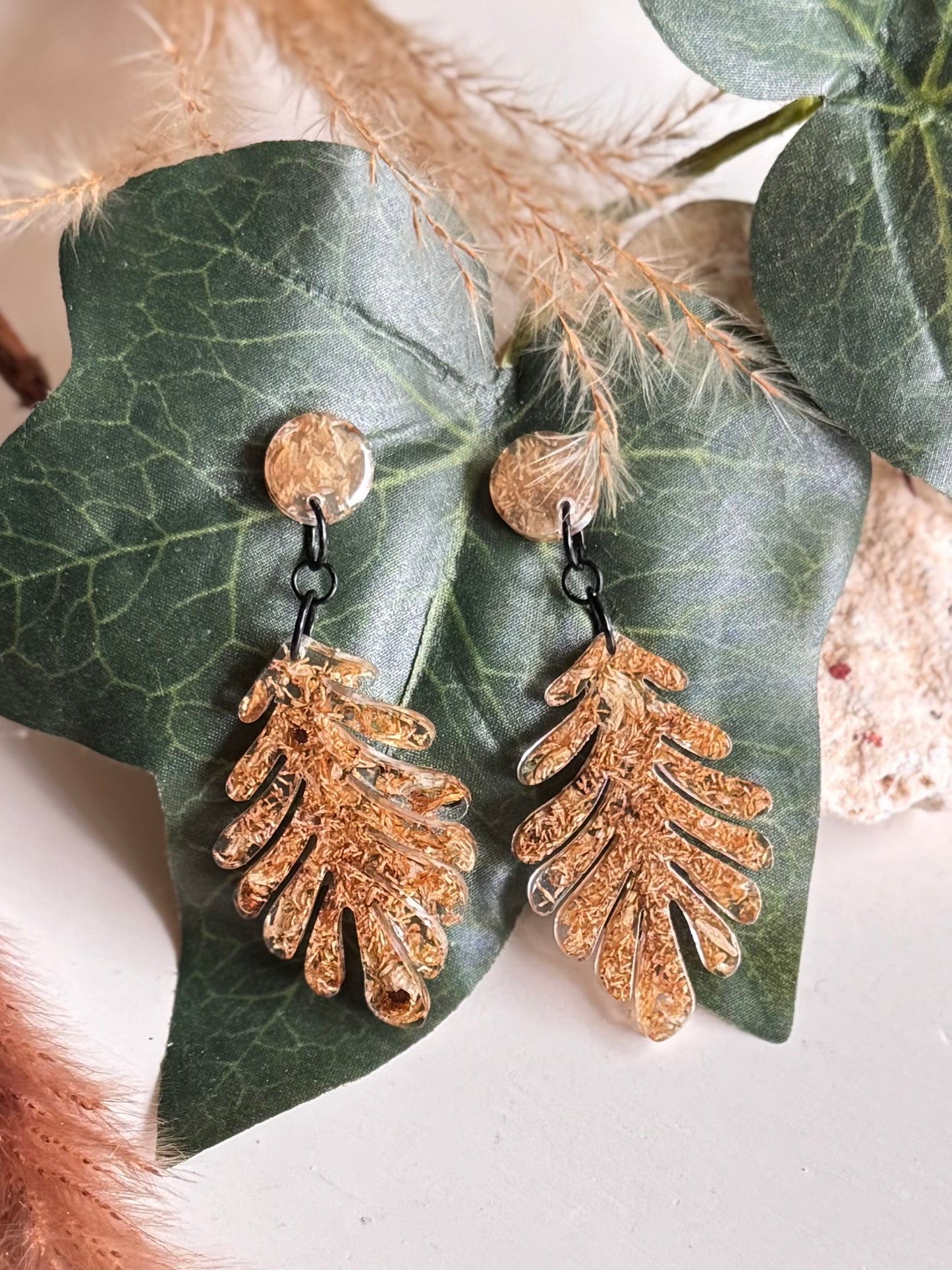 Dried Flower Seeds