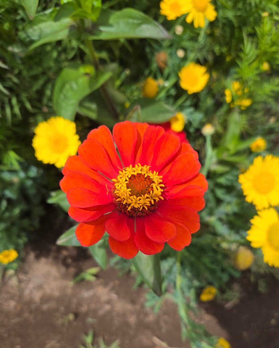 "The Magic Behind our resin necklace and earring sets"