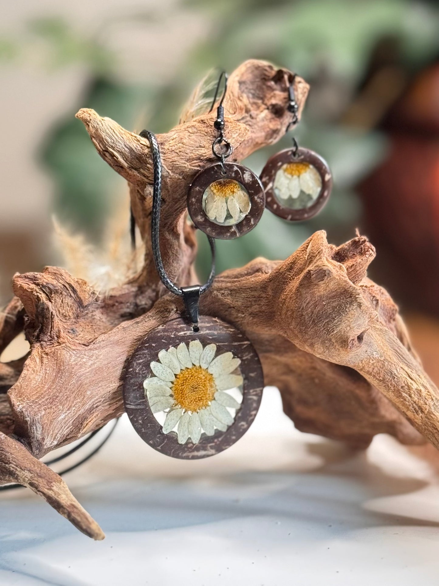 Coconut Wood White Daisies Set