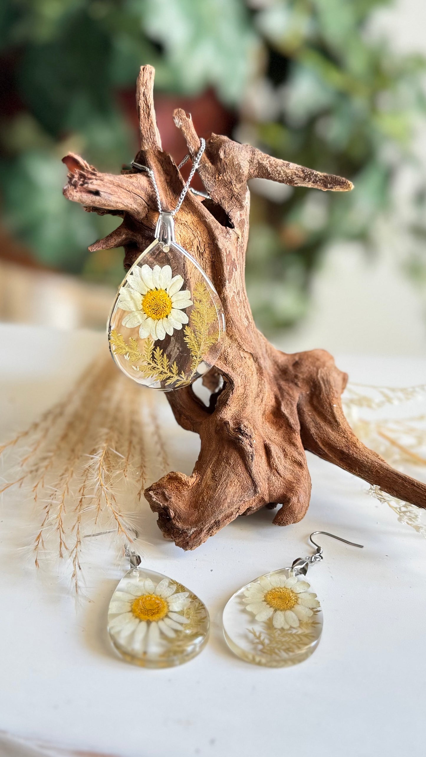Daisy Flower Set